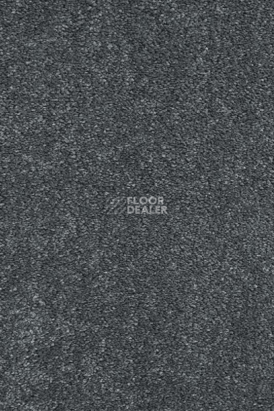 Ковролин AW Gaia Equinox 72 фото 1 | FLOORDEALER